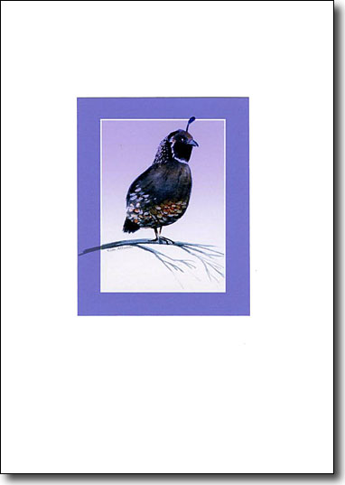 Quail In Lavender image